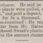 cabbageplants_cont_5Aug1881