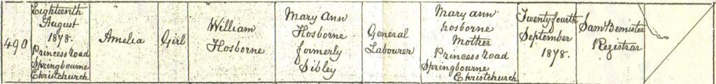 Extract from Amelia Osborne's birth certificate, 1878